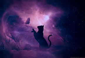 cat, silhouette, butterfly, sky, galaxy, stars, shine