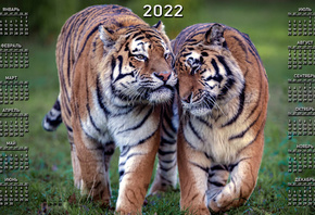 , 2022, 