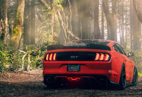Ford, Mustang, Gt, Chicali, Customs