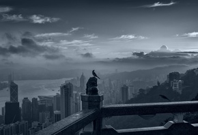 -, , Victoria Peak, Hong Kong, mystical moment, calm amid ...