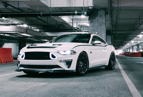 ford, mustang, rtr