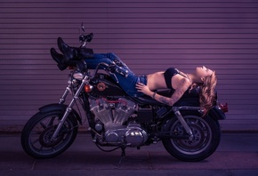 , harley davidson, , 