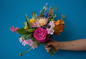floral creativity,  , design, fresh flowers, Posy and Posy
