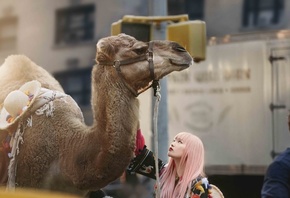 camel, New York, Kate Spade New York Summer 2017 Ad Campaign, Fernanda Ly