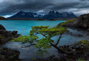 Lake Paheo, Patagonia, Chile