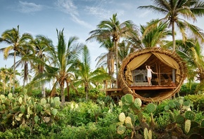 Playa Viva, luxurious eco resort, Mexico, Eco Luxury Boutique Hotel, Treeho ...