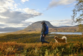 Autumn, Lapland, dog, man, Finland