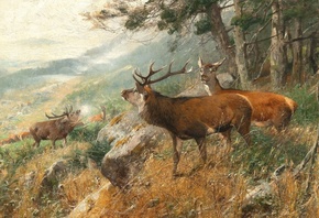 Christian Kroner, German, 1893, Deer in the clearing