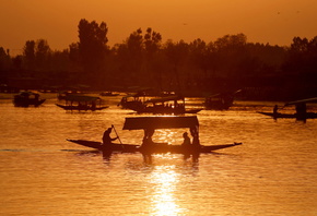 boats, Dal Lake, Jammu and Kashmir, India