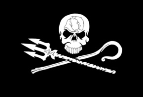 direct action marine conservation organization, Sea Shepherd, logo