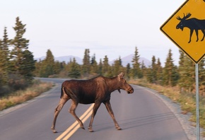 Moose, Alaska, Road