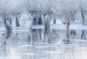 Lake of Ice, Santa Croce Lake, Belluno, Italy