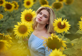 women, model, blonde, women outdoors, blue dress, dress, sunflowers, pierced nose, nature