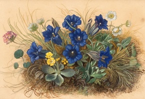 Emil Ernst Heinsdorff, German, 1942, Mountain flowers with gentian, winterling and primroses