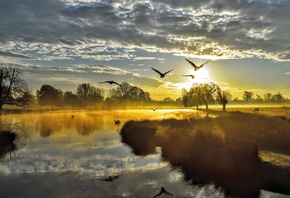 Bushy Park, London, beautiful landscapes