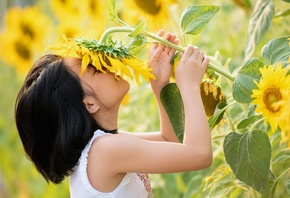 nature, little girl, summer, sunflowers