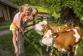 Salzburg, Farm holidays, Austria, organic farm, cows