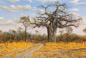 Errol Norbury, South Africa, Bushveld Landscape With Baobab