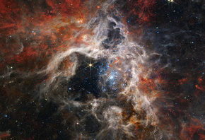Tarantula Nebula, NASA, James Webb Space Telescope