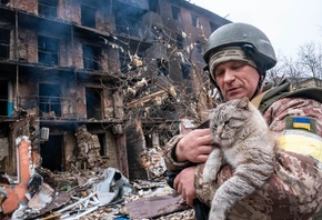 burned-out building, soldier cradles a cat, Ukraine