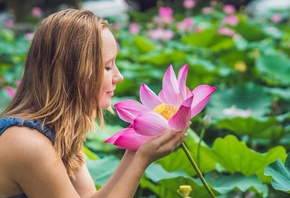 Pink Lotus, Flower, Woman