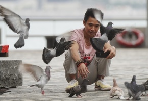 Birds, Hong Kong, Feeding Pigeons, China
