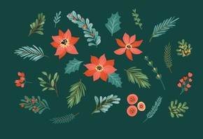 Christmas, floral, nature, leaves, holiday