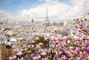 spring, Eiffel Tower, Paris, France