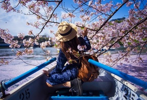 spring, Cherry Blossom, Japan