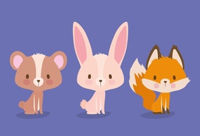 Fox, Rabbit, bear, wildlife