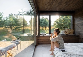country house, panoramic windows, pine forest, nature