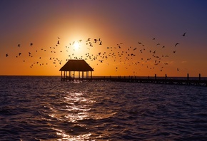 relaxed island, Yucatan Channel, Isla Holbox, Mexico