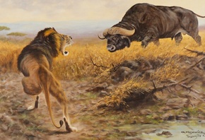 George Majewicz, German, Buffalo and lion in the savannah