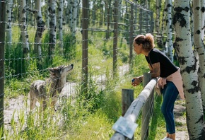 Yamnuska Wolfdog Sanctuary, Cochrane, Alberta, Canada