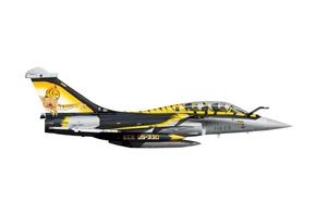 Dassault Rafale, multirole fighter aircraft, Dassault Aviation