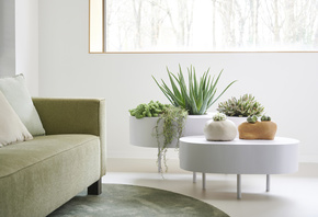 Biophilic Design, happier home, Eco Home