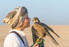 Qatar, desert, falcon, hunting