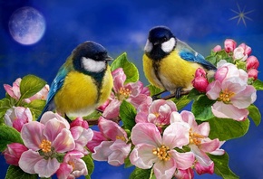 , , ,  , , art, night, moon, flowers, birds, spring, flowering branch, tits