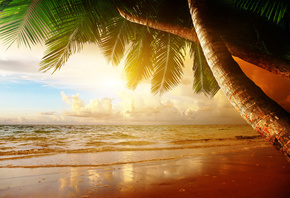 sand, sea, beach, summer, sun, tropics, palm trees, ocean, shore, island
