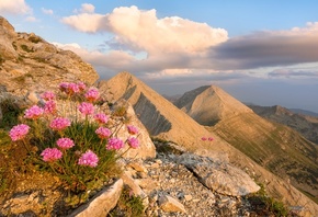 , , , , , , , sky, landscape, nature, flowers, mountains, clouds, rocks, , Bulgaria, Pirin, 
