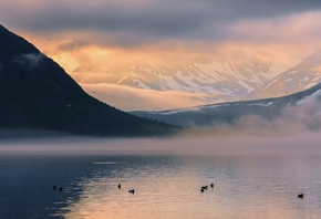 , nature, landscape, mountains, snow, water, lake, river, Ducks, mist, clouds