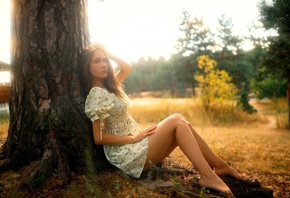summer dress, field, nature, trees, grass, , brunette, model, women, sitting, looking at viewer, pine trees