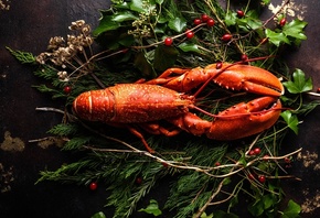 Fresh Lobster, Herbs, Luxury Food