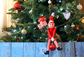 Christmas, Elf, Christmas Tree