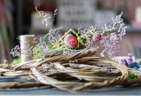 dried flowers, floristry materials, naturally dried and preserved flowers, decor