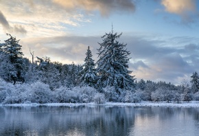 Winter Morning, Washington, Mud Bay, Puget Sound