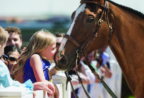 Racehorse, Little Girl, kids who love horses
