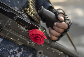 rose, machine gun, secure