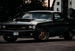 Dodge Challenger 1970, muscle cars, vehicle, Dodge, car, trees, black cars, ...