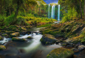 Natureza, Lago, Paisagem, Floresta